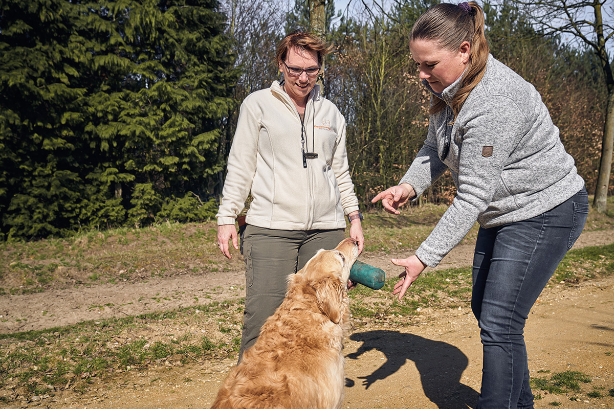 beziehungskiste-hundeschule-dummytraining