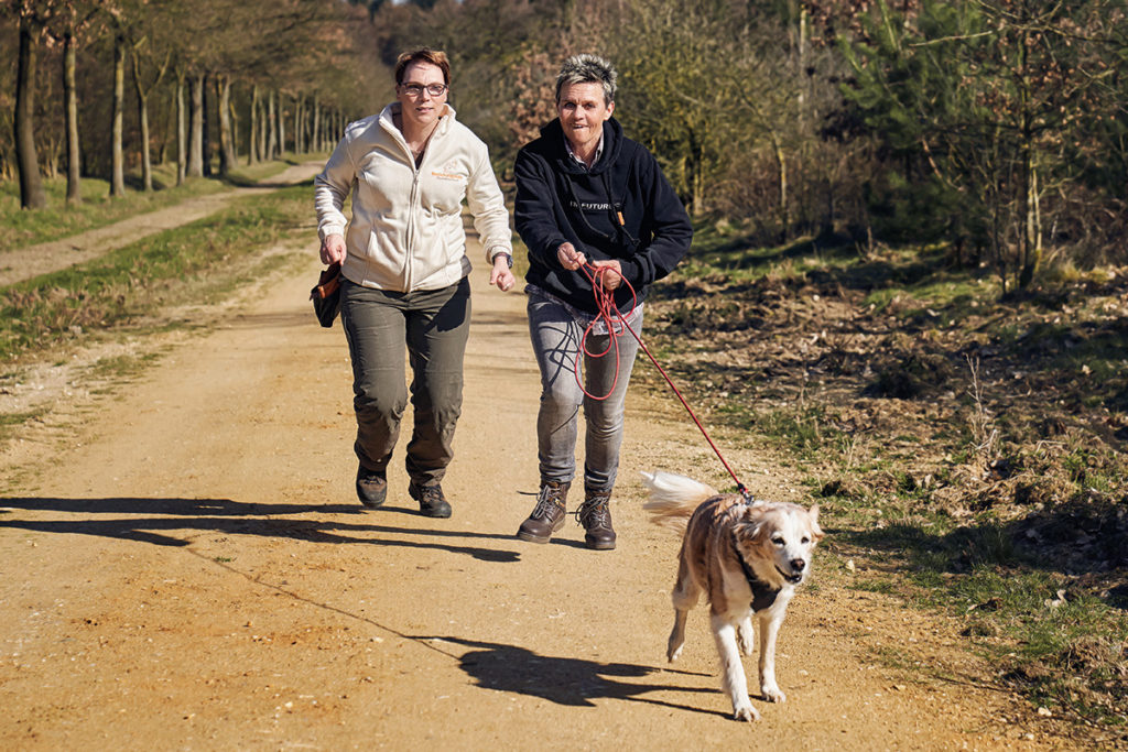 beziehungskiste-hundeschule-mantrailing