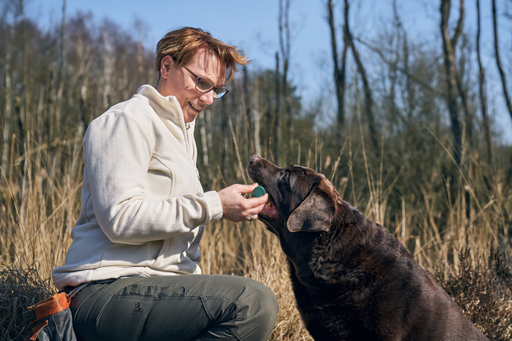 beziehungskiste-hundeschule-nasenarbeit