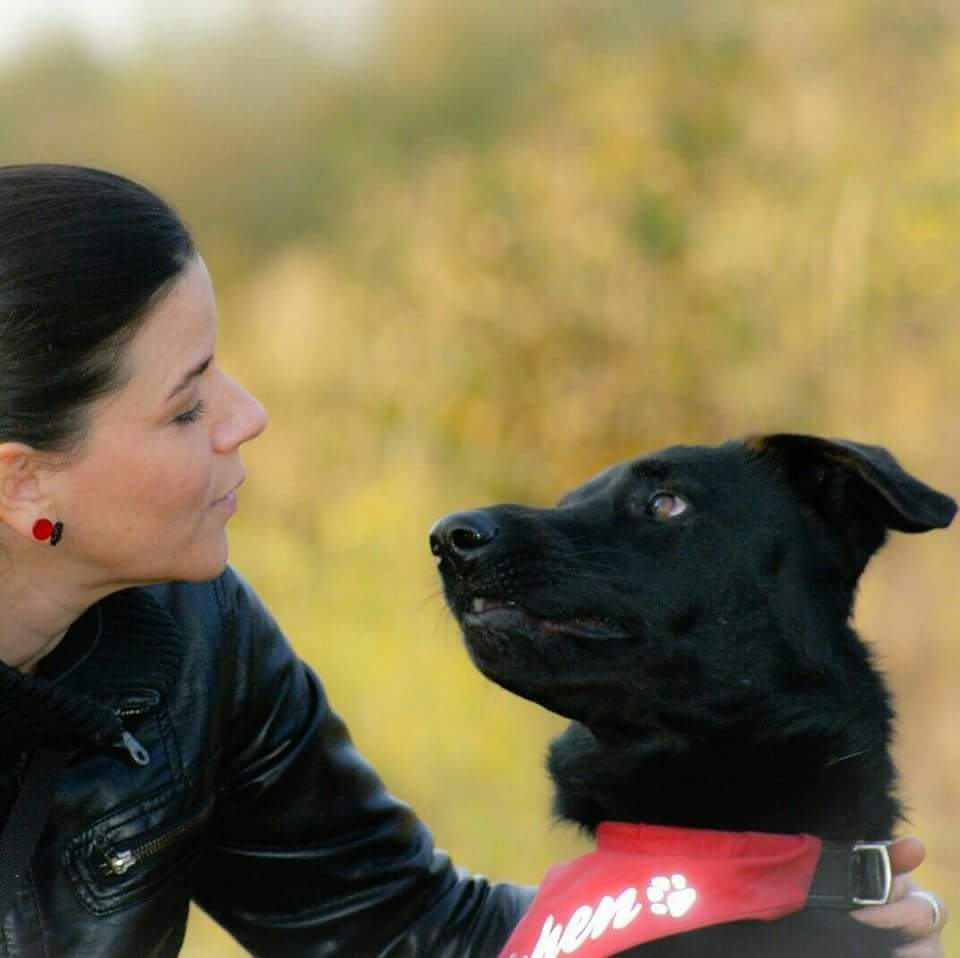beziehungskiste-hundeschule-kundenstimme3