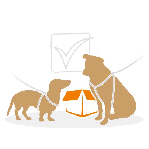 beziehungskiste-hundeschule-beziehungskiste-begegnung-1 beziehungskiste-hundeschule-beziehungskiste-begegnung-1