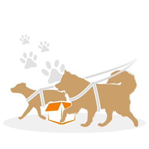 beziehungskiste-hundeschule-beziehungskiste-social-walk beziehungskiste-hundeschule-beziehungskiste-social-walk