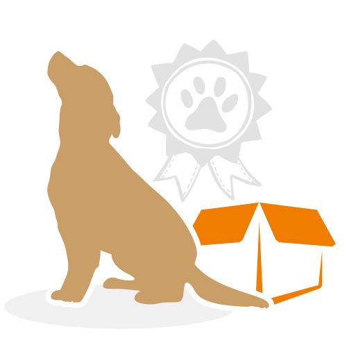 beziehungskiste-hundeschule-erziehungskiste4.neu beziehungskiste-hundeschule-erziehungskiste4.neu