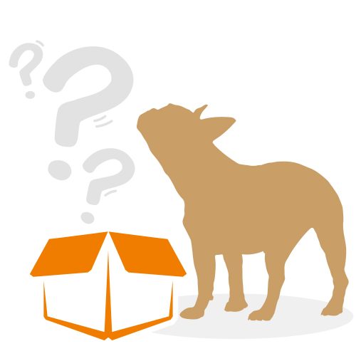 beziehungskiste-hundeschule-gewinnspiel beziehungskiste-hundeschule-gewinnspiel