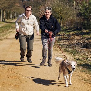 beziehungskiste-hundeschule-mantrailing beziehungskiste-hundeschule-mantrailing