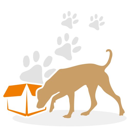 beziehungskiste-hundeschule-nasenarbeit1.neu beziehungskiste-hundeschule-nasenarbeit1.neu