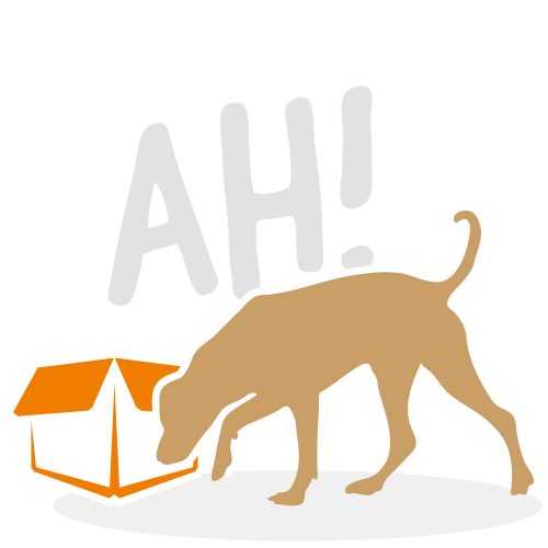 beziehungskiste-hundeschule-nasenarbeit2.neu beziehungskiste-hundeschule-nasenarbeit2.neu