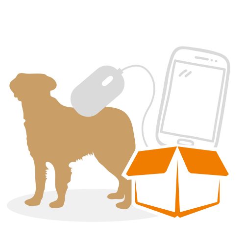 beziehungskiste-hundeschule-onlinekiste-3 beziehungskiste-hundeschule-onlinekiste-3