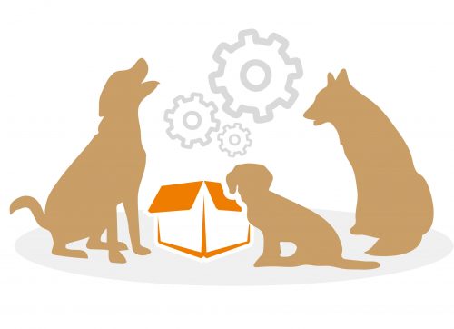 beziehungskiste-hundeschule-team beziehungskiste-hundeschule-team